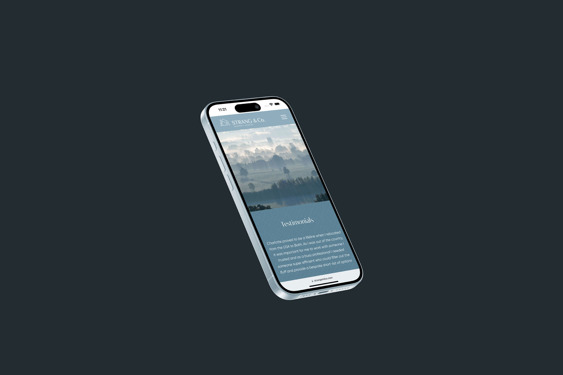 Smartphone showing a scenic countryside view on a property consultant's website.